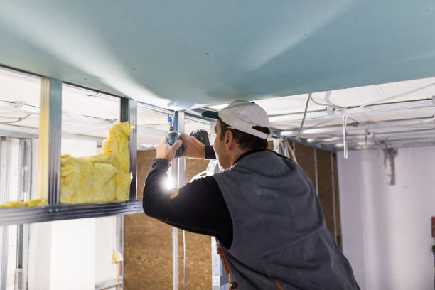 Types of Insulation We Offer in Dunnavant, AL