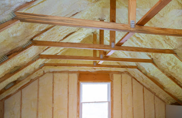 Best DIY Insulation Kits and Guidance in Dunnavant, AL