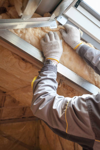 Best Commercial Insulation in Dunnavant, AL